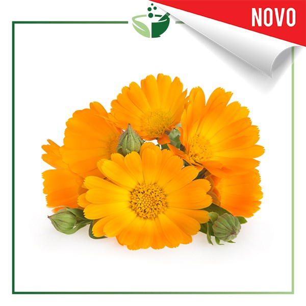 Calendula-Flower-Extract-Standardized-Lutein-5-novo
