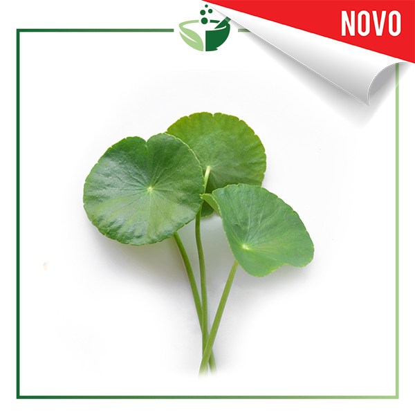 Gotu-Kola-Herb-Extract-Standardized-Asiaticosides-10-novo