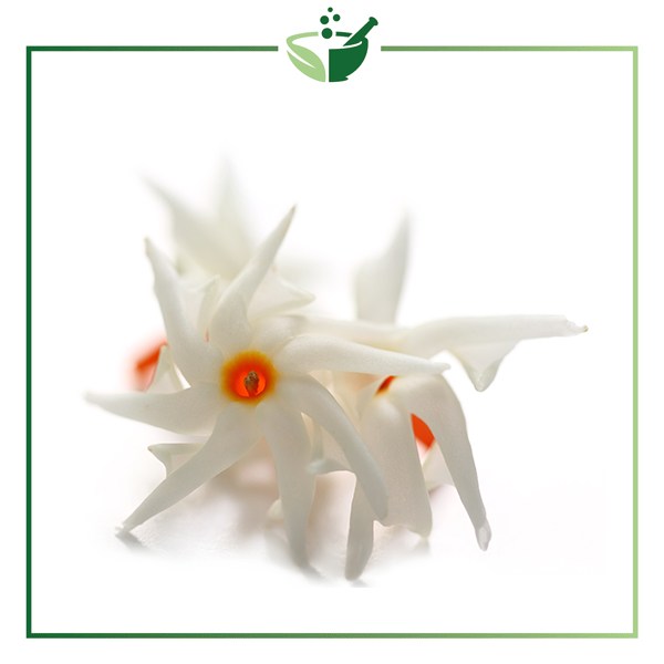 Harshingar-Essential-Oil