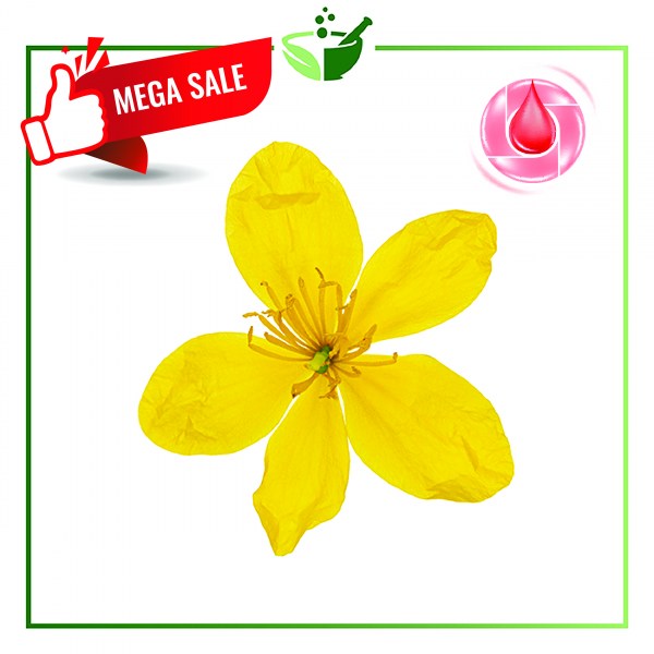 St.-Johns-Wort-Flower-Infused-Oil-MegaSale-01