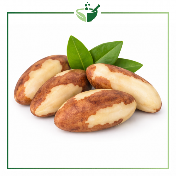 brazil-nut-original-with-green-frame