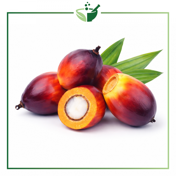 buriti-fruit-original-with-green-frame