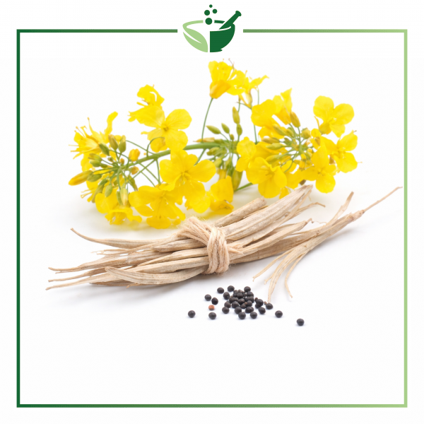 canola-plant-original-with-green-frame