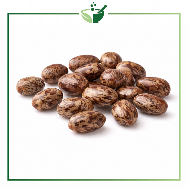 castor-seeds-original-with-green-frame5